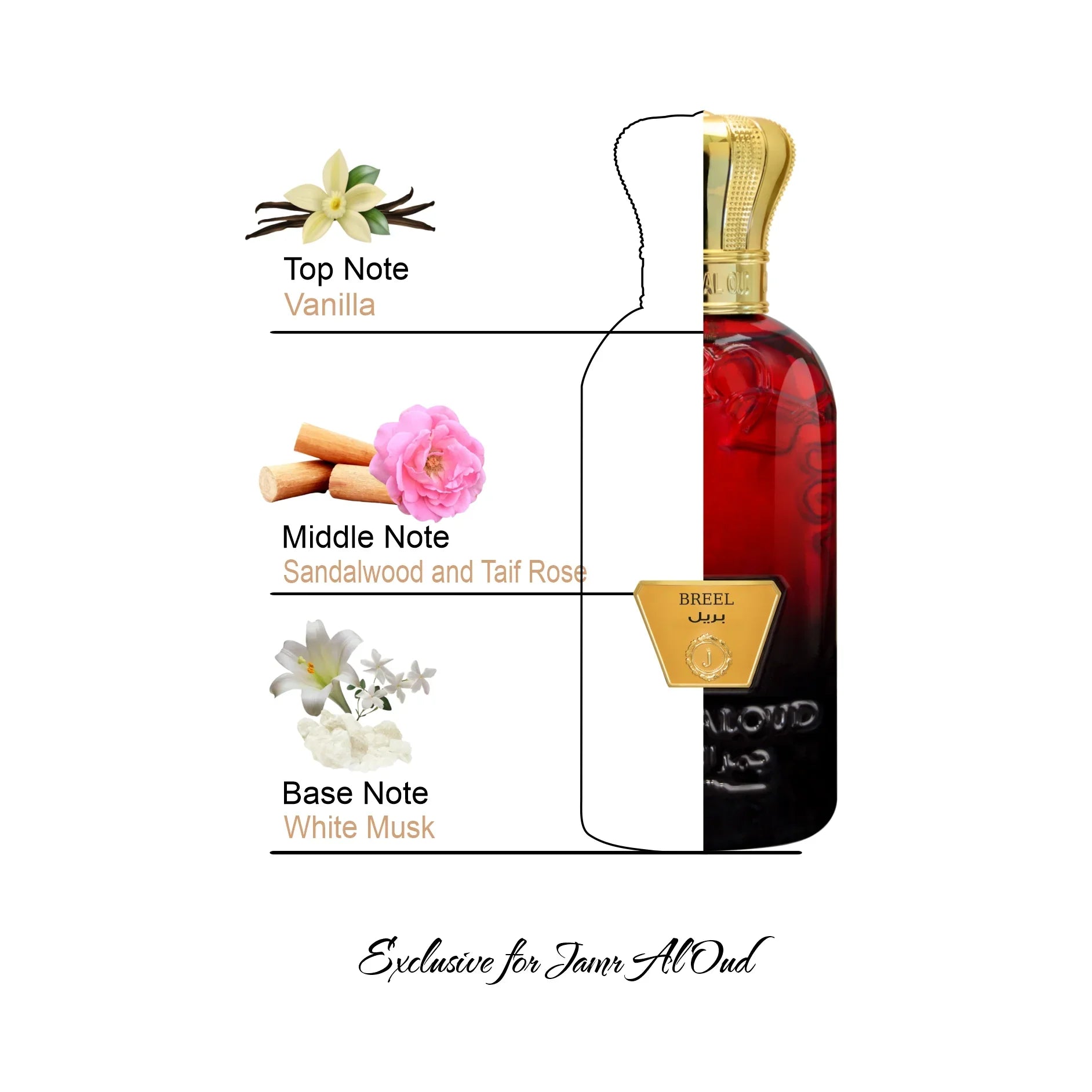 Breel luxury perfume bottle with gold cap, featuring vanilla, sandalwood, rose, and white musk notes, exclusive at Jamr Al Oud Perfume House.