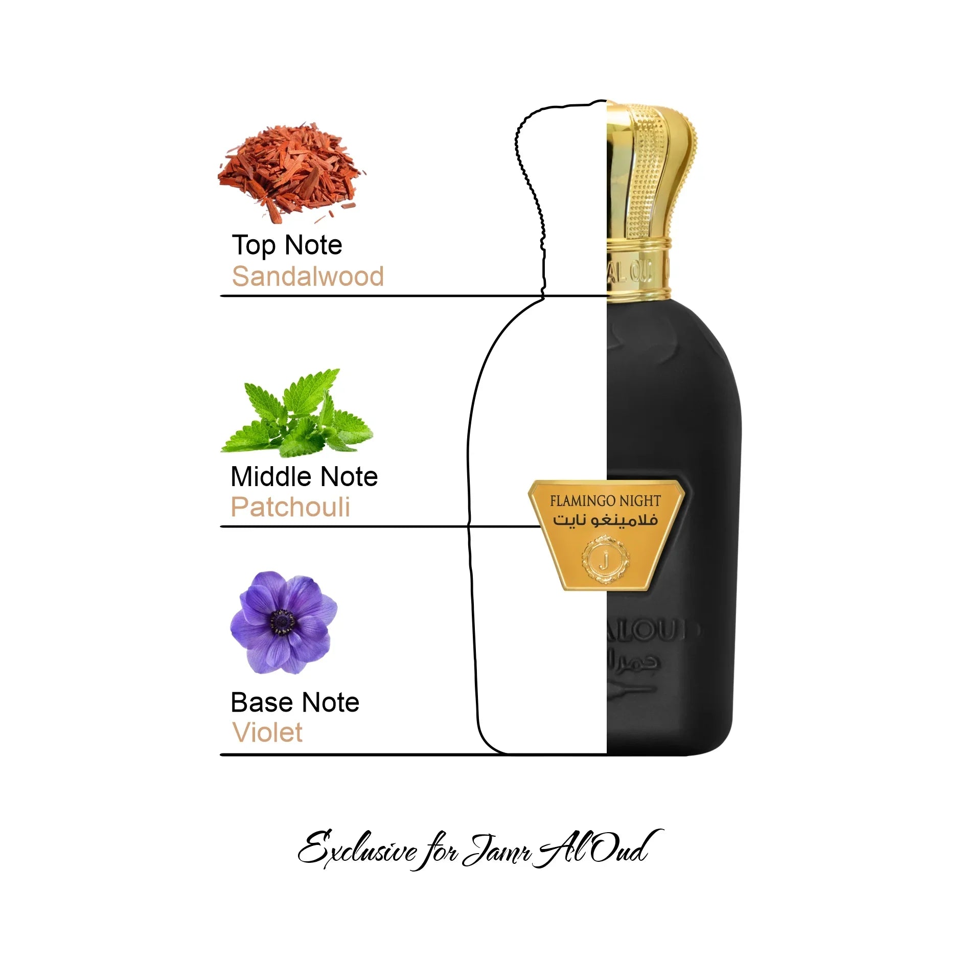 Jamr Al Oud Flamingo Night perfume bottle showing sandalwood, patchouli, and violet notes