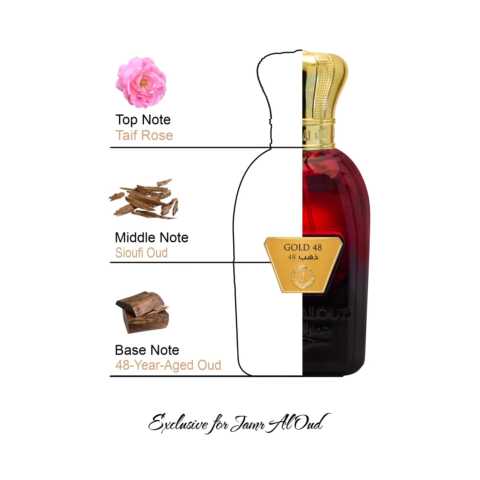 Gold 48 perfume bottle by Jamr Al Oud with Taif rose, Sioufi oud, and 48-year-aged oud notes.
