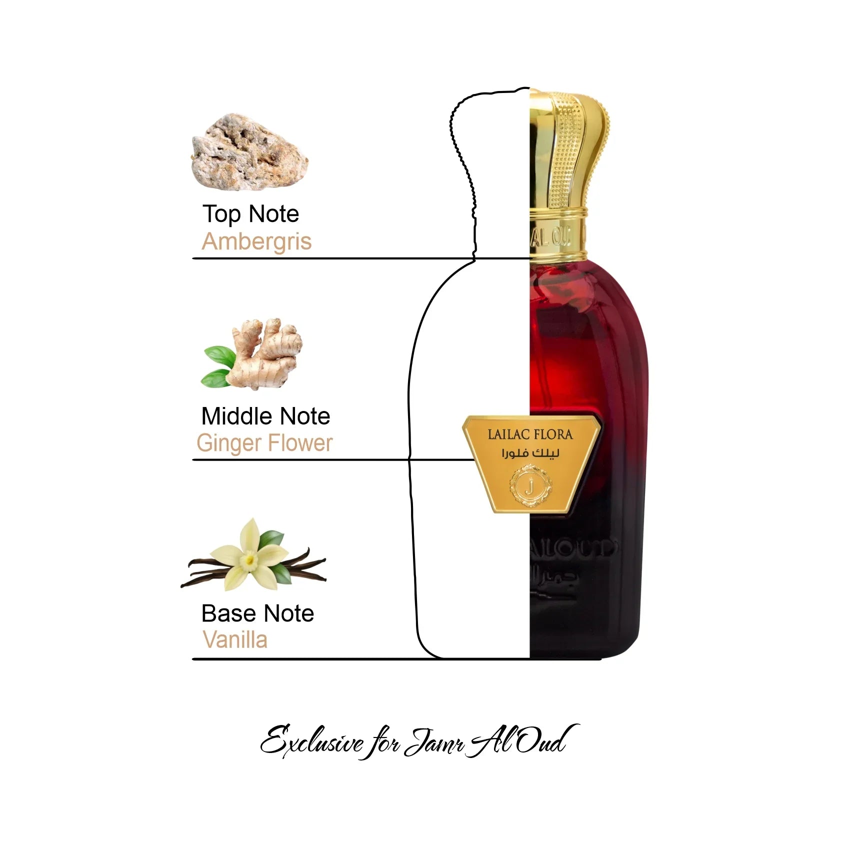Lailac Flora perfume bottle with notes of ambergris, ginger flower, and vanilla, Jamr Al Oud exclusive.