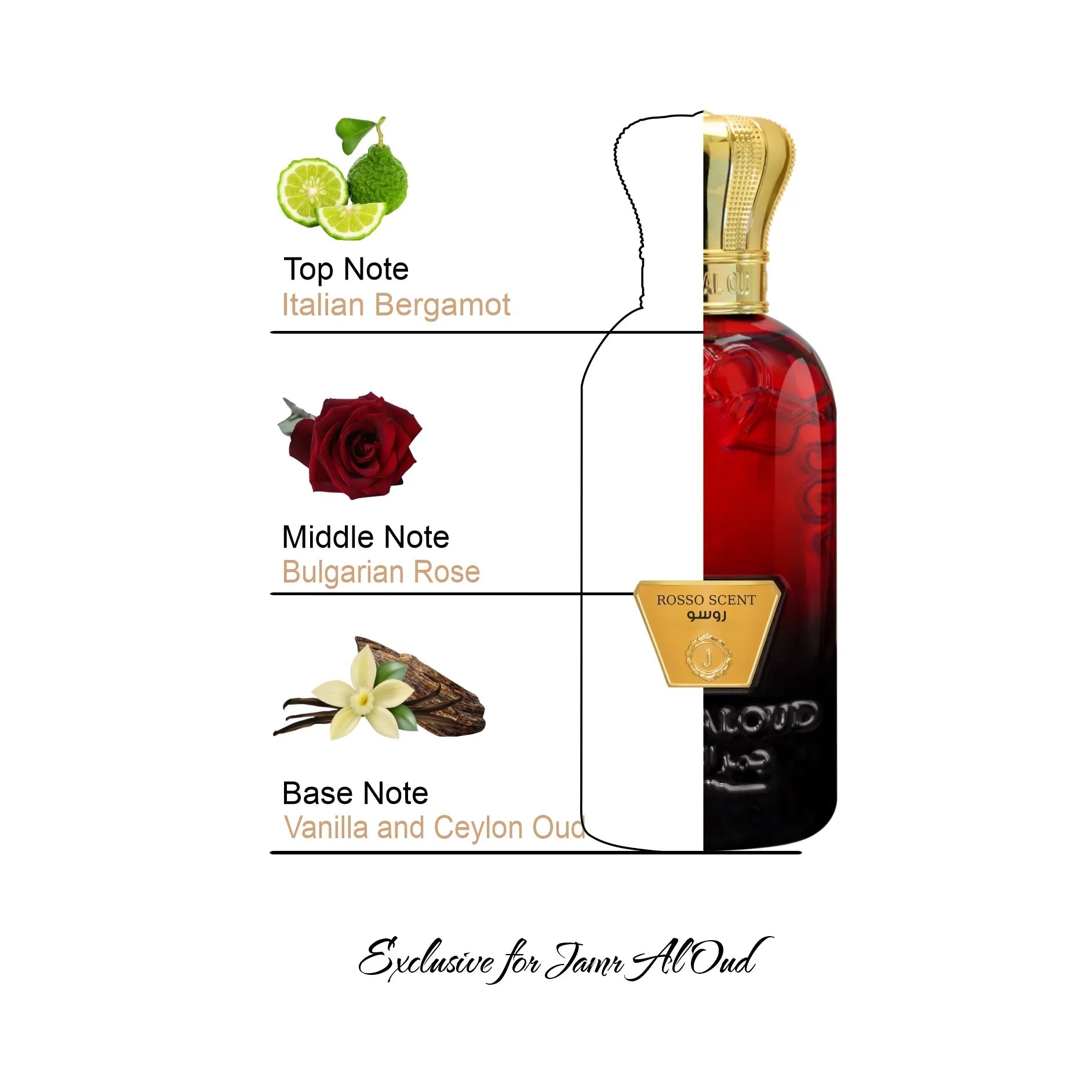 Jamr Al Oud Rosso Scent perfume bottle with notes of Italian bergamot, Bulgarian rose, vanilla, and Ceylon oud.
