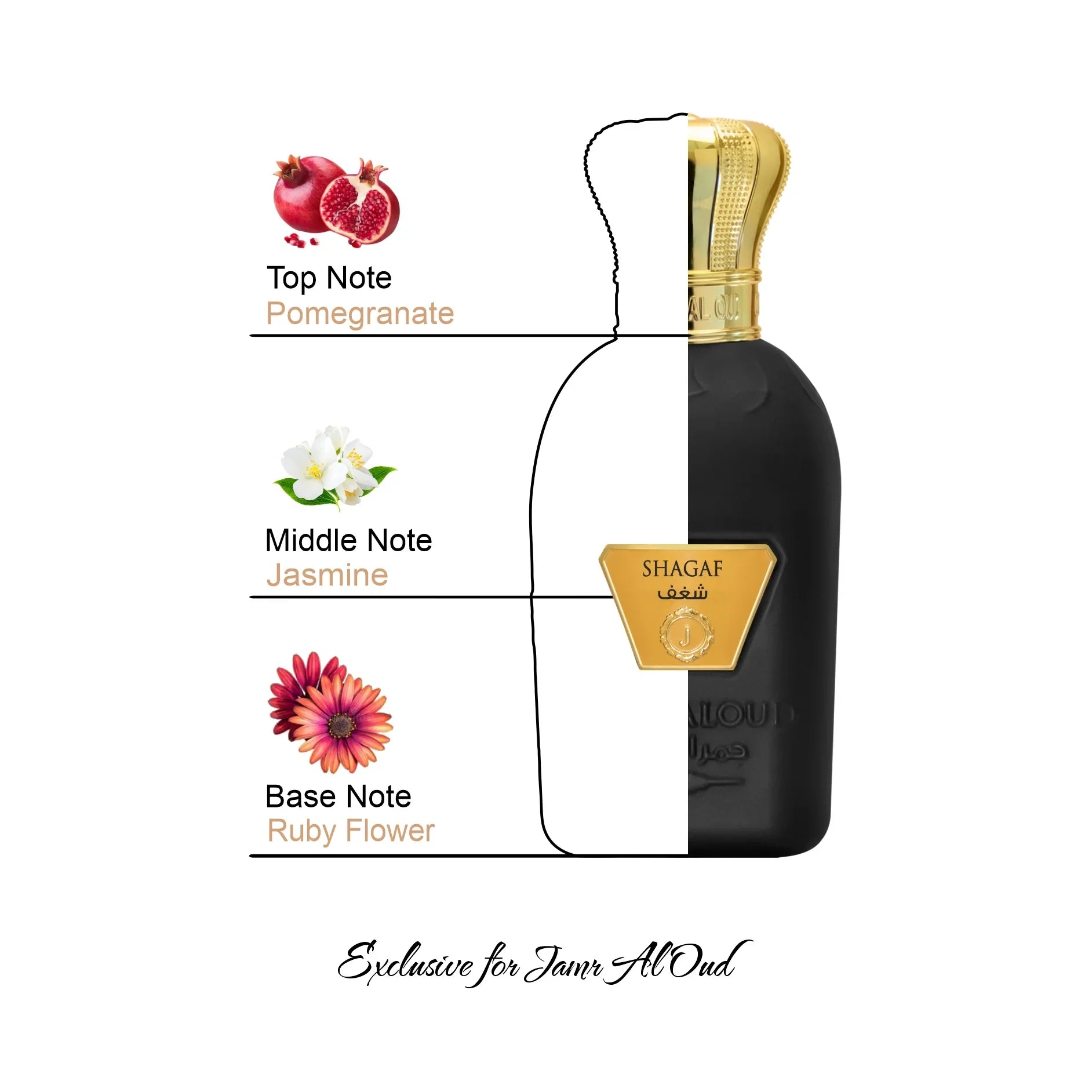 Shagaf perfume bottle with pomegranate, jasmine, and ruby flower notes, exclusive at Jamr Al Oud.