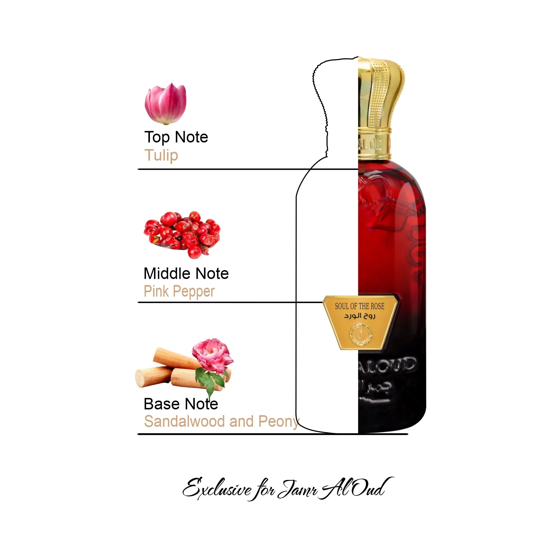 Soul of the Rose perfume by Jamr Al Oud, featuring tulip, pink pepper, sandalwood, and peony notes.