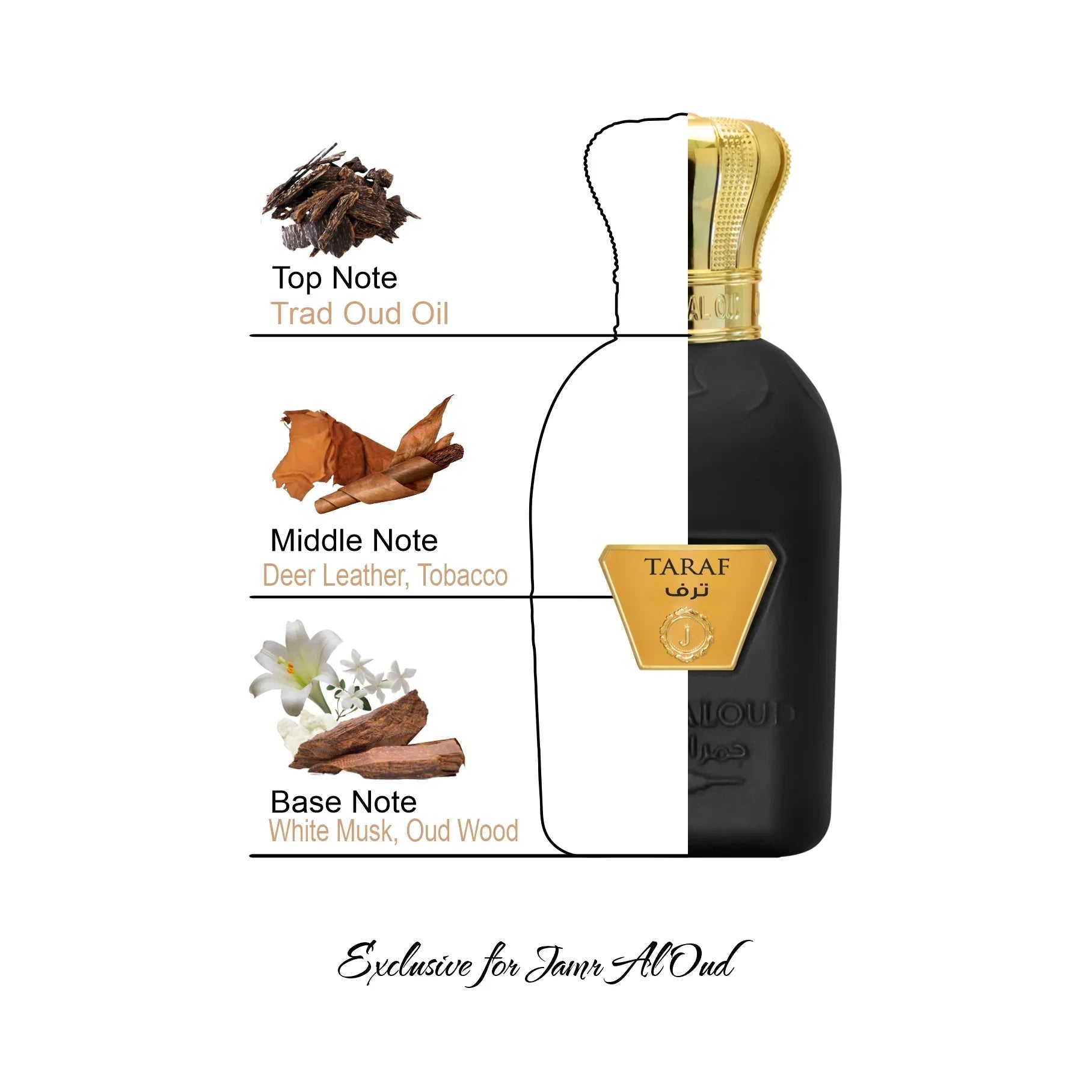 Taraf perfume bottle by Jamr Al Oud with fragrance notes: oud oil, deer leather, tobacco, musk, oud wood