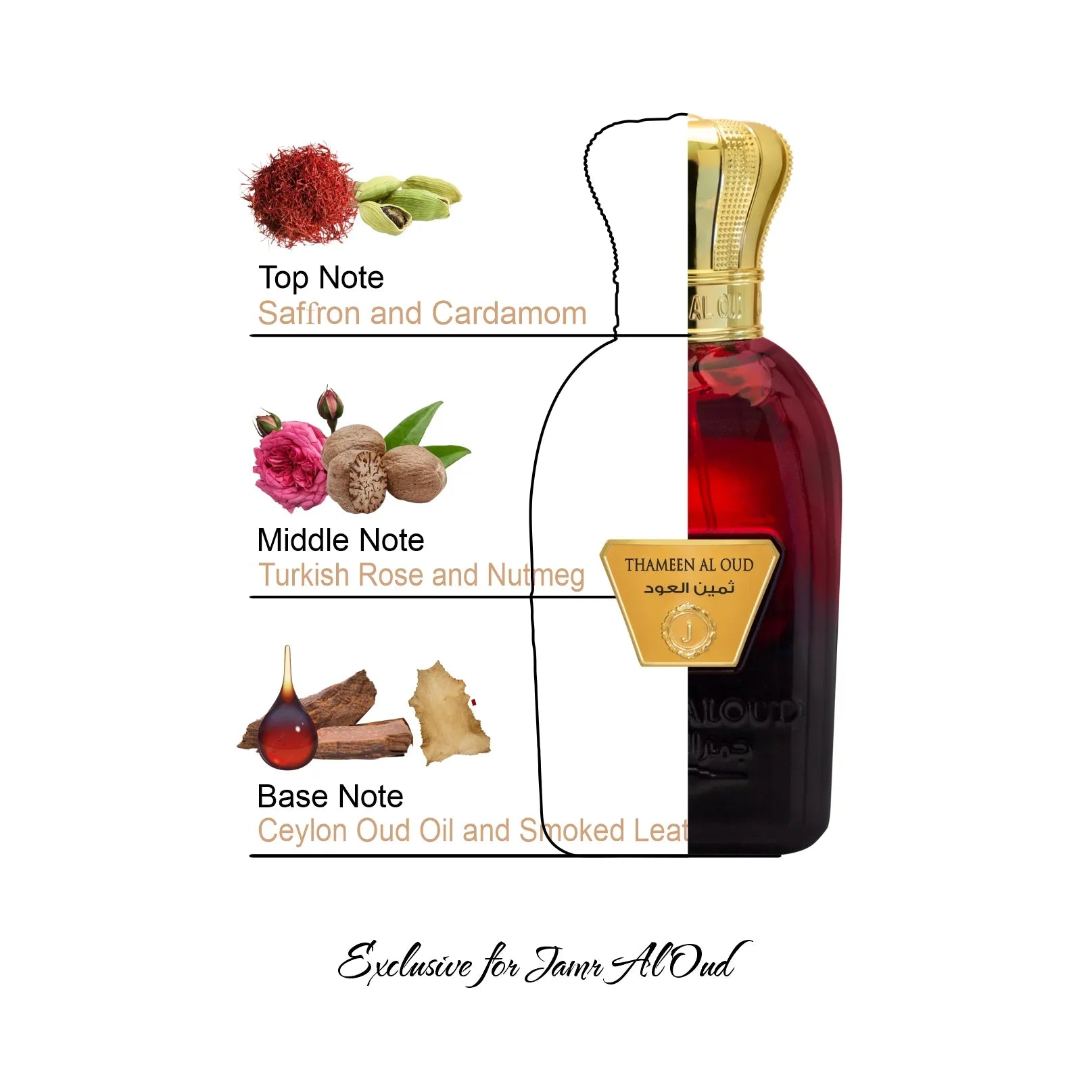 Thameen Al Oud perfume bottle with gold cap, fragrance notes of saffron, cardamom, Turkish rose, nutmeg, Ceylon oud oil, and smoked leaf, exclusive for Jamr Al Oud Perfume House.