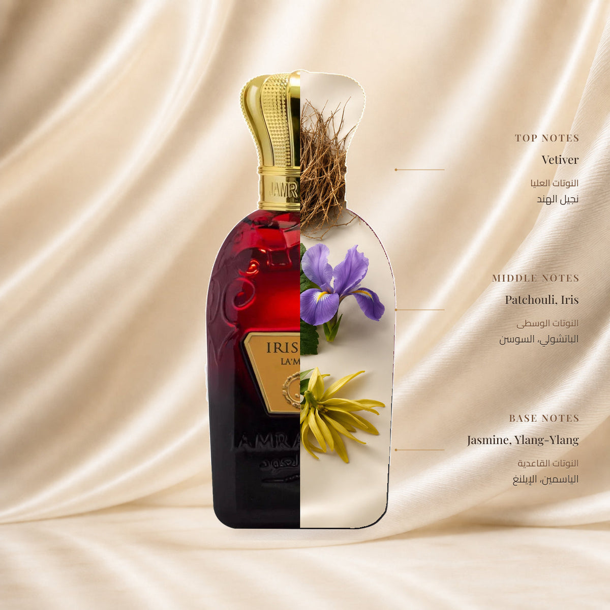 Iris De Lamer Perfume by Jamr Al Oud, fragrance notes illustration; Top: Vetiver; Heart: Patchouli, Iris; Base: Jasmine, Ylang-Ylang.