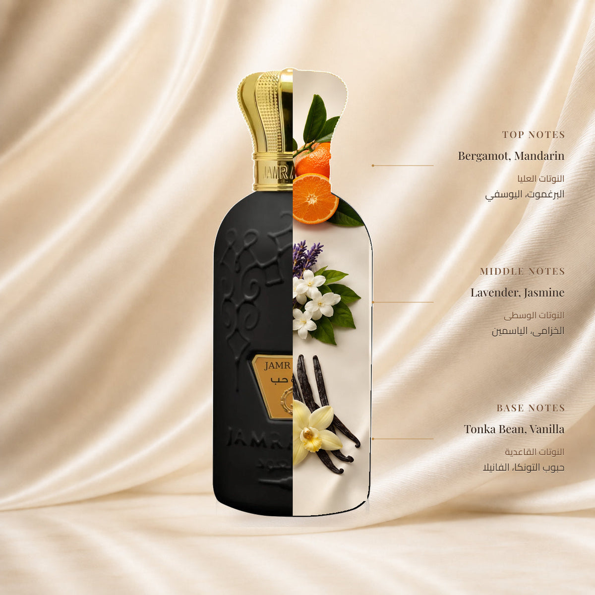 Jamr & Hub Perfume by Jamr Al Oud, fragrance notes illustration; Top: Bergamot, Mandarin; Heart: Lavender, Jasmine; Base: Tonka Bean, Vanilla.