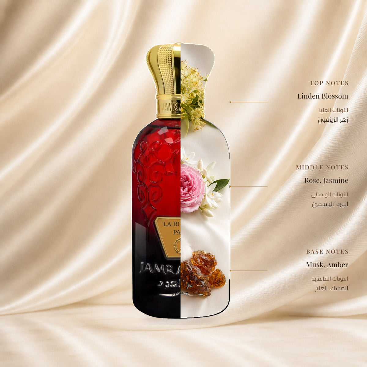 La Rose De Paris Perfume by Jamr Al Oud, fragrance notes illustration; Top: Linden Blossom; Heart: Rose, Jasmine; Base: Musk, Amber.