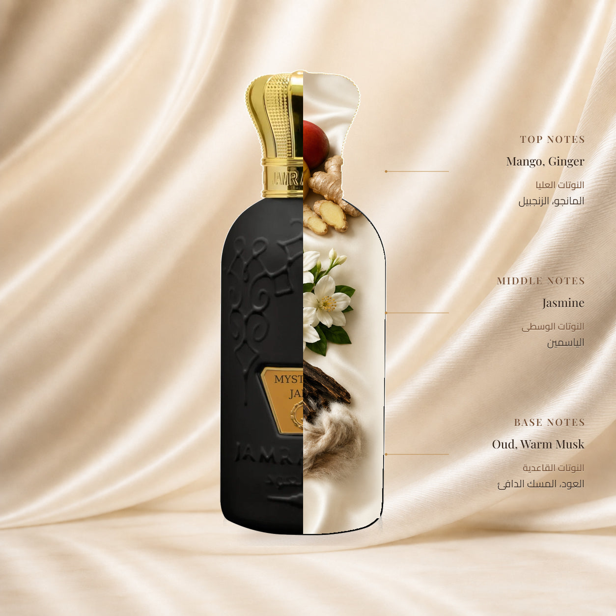Maystic Of Jamr Perfume by Jamr Al Oud, fragrance notes illustration; Top: Mango, Ginger; Heart: Jasmine; Base: Oud, Warm Musk.