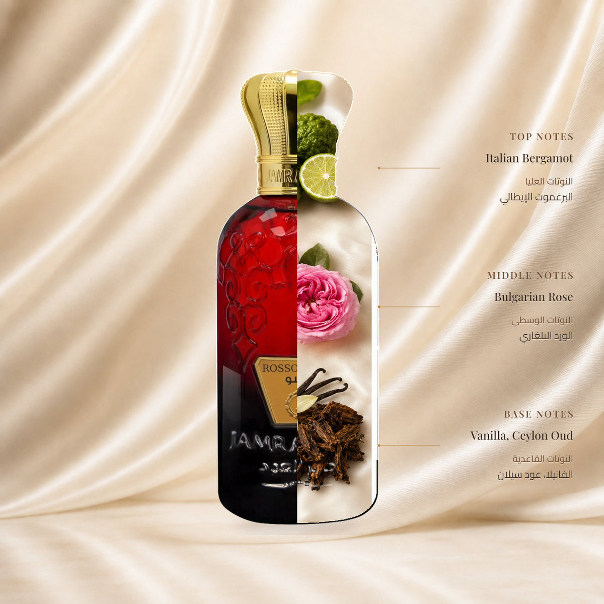 Rosso Scent Perfume by Jamr Al Oud, fragrance notes illustration; Top: Italian Bergamot; Heart: Bulgarian Rose; Base: Vanilla, Ceylon Oud.