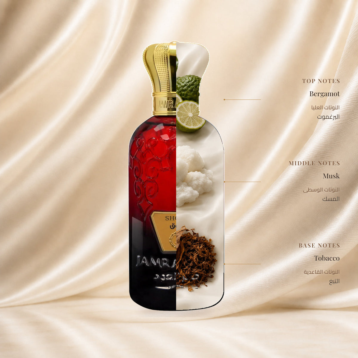 Shouq Perfume by Jamr Al Oud, fragrance notes illustration; Top: Bergamot; Heart: Musk; Base: Tobacco.